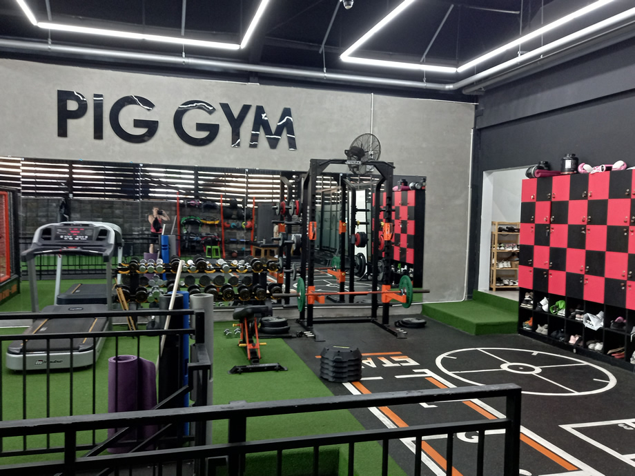 Pig Gym 2 Danang