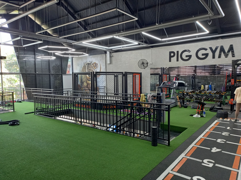 Pig Gym 2 Danang